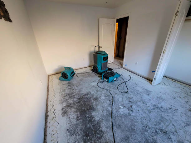 Best Sewage cleanup and water damage restoration  in Vernon, AL