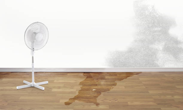 Best Flooded house restoration  in Vernon, AL
