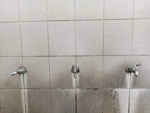 Best Flood damage cleanup  in Vernon, AL
