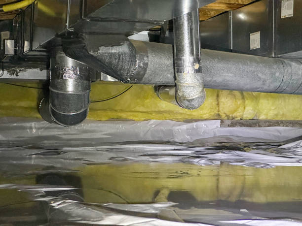 Best Carpet water damage restoration  in Vernon, AL