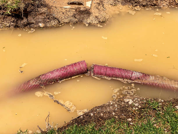 Best Water damage restoration near me  in Vernon, AL