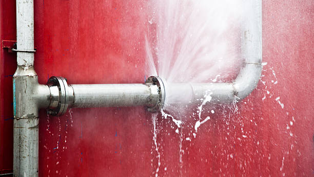 Best Fire Damage Restoration  in Vernon, AL